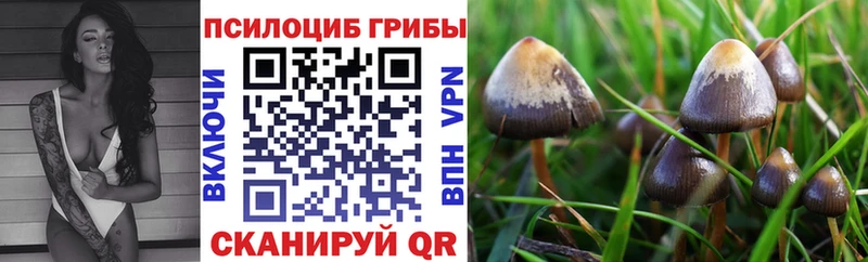 ссылка на мегу ссылки  Железногорск  Галлюциногенные грибы мухоморы  цены наркотик 