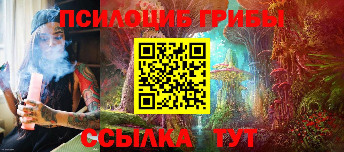 Псилоцибиновые грибы Psilocybe Железногорск