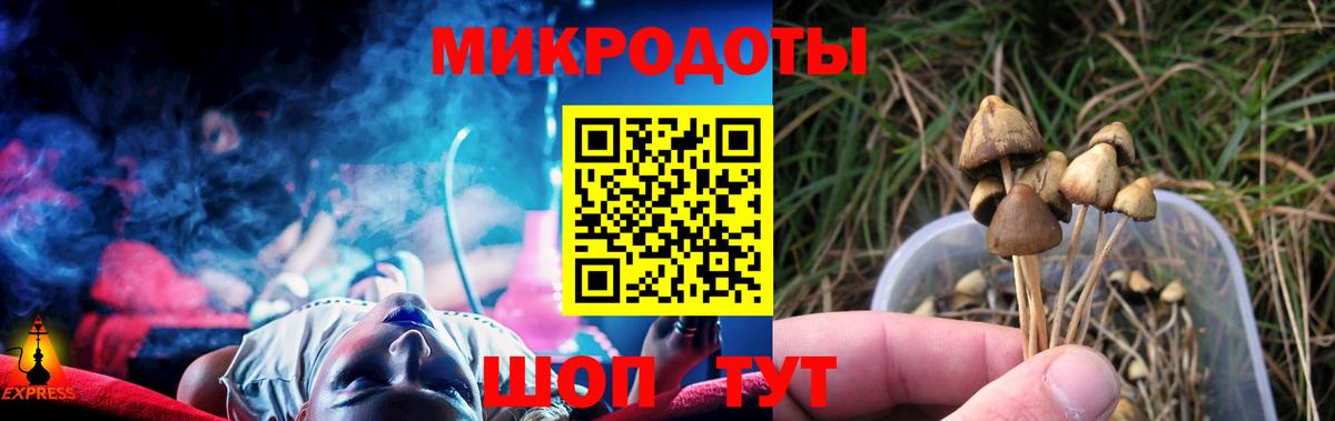 Галлюциногенные грибы Magic Shrooms  Галлюциногенные грибы Cubensis  Железногорск  даркнет сайт  Вход с VPN 